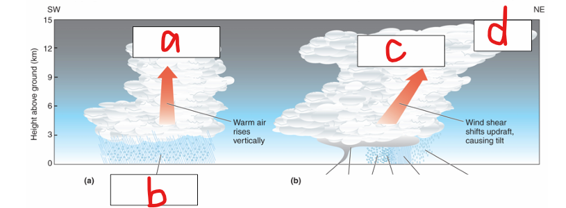 <p>What does a represent in the image?</p>