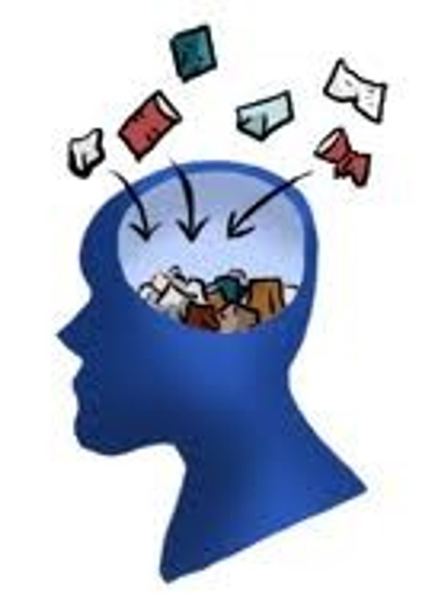<p>mindset, mentality</p>