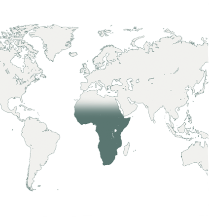 - Trans-Saharan Africa
- Arabia