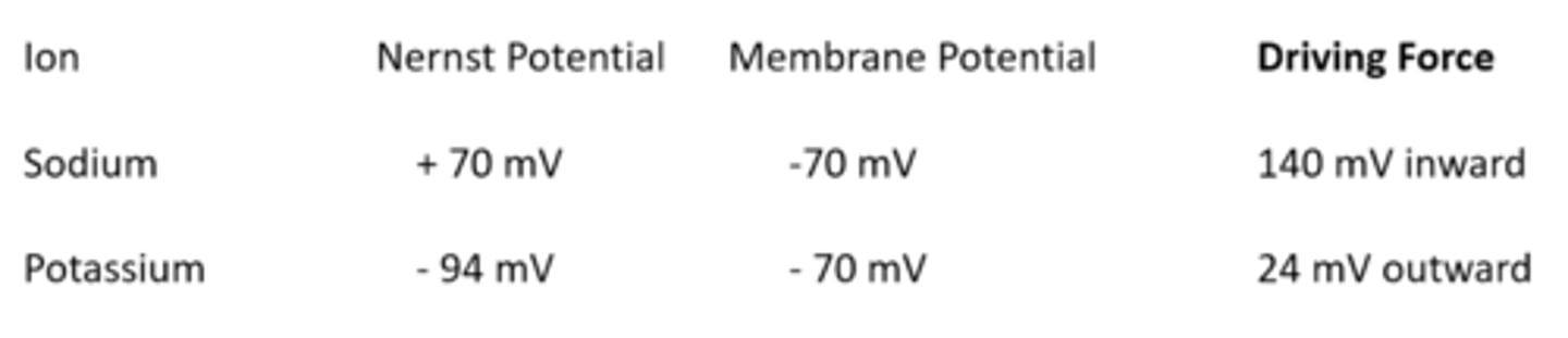 <p>sodium = +70 mV</p><p>potassium = -94 mV</p>