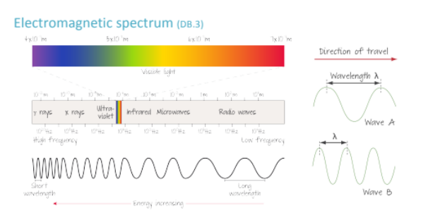 <p><strong>Higher energy = higher frequency = shorter wavelength</strong></p><p><br><strong>Lower energy = lower frequency = longer wavelength</strong><br><br><strong>(to remember where these are located; just remember that humans can’t detect high frequency sounds, which are on the lower end of the electromagnetic spectrum)</strong></p><p></p>
