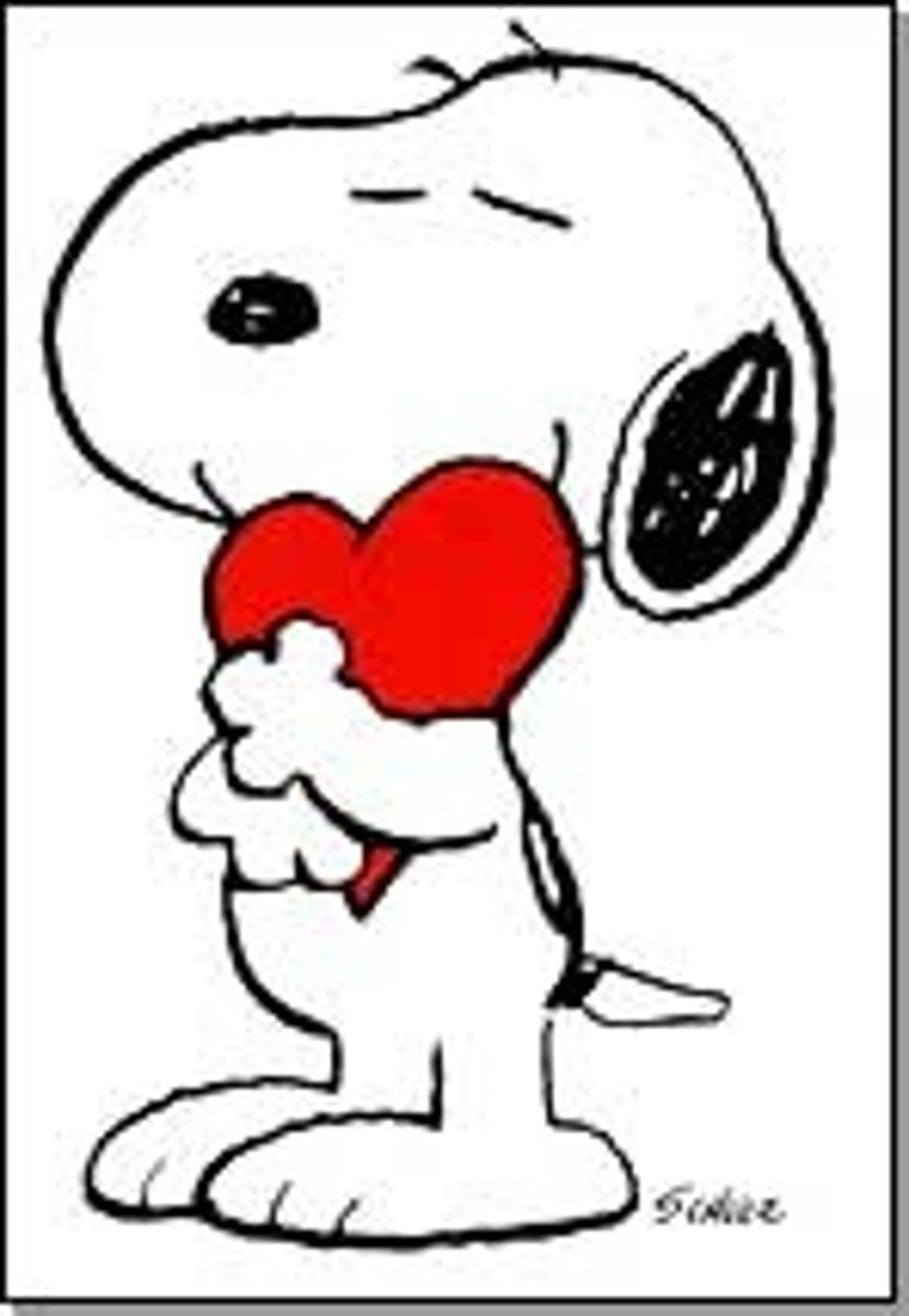 <p>February</p>