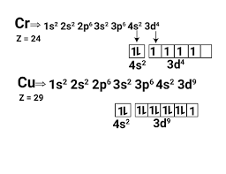 <ul><li><p>Chromate [Cr] <strong><span>1s² 2s² 2p⁶ 3s² 3p⁶ 3d⁵ 4s¹</span></strong><span>&nbsp;</span></p></li><li><p>Copper [Cu] <strong><span>1s² 2s² 2p⁶ 3s² 3p⁶ 3d¹⁰ 4s¹</span></strong><span>&nbsp;</span></p></li><li><p><span>The 4s is not fully filled as the electron from the subshell moves to the 3d shell to make it more stable.</span></p></li><li><p><span>Group 6 and Group 11 elements. </span></p></li></ul><p></p>