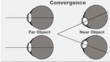 <p>Convergence</p>