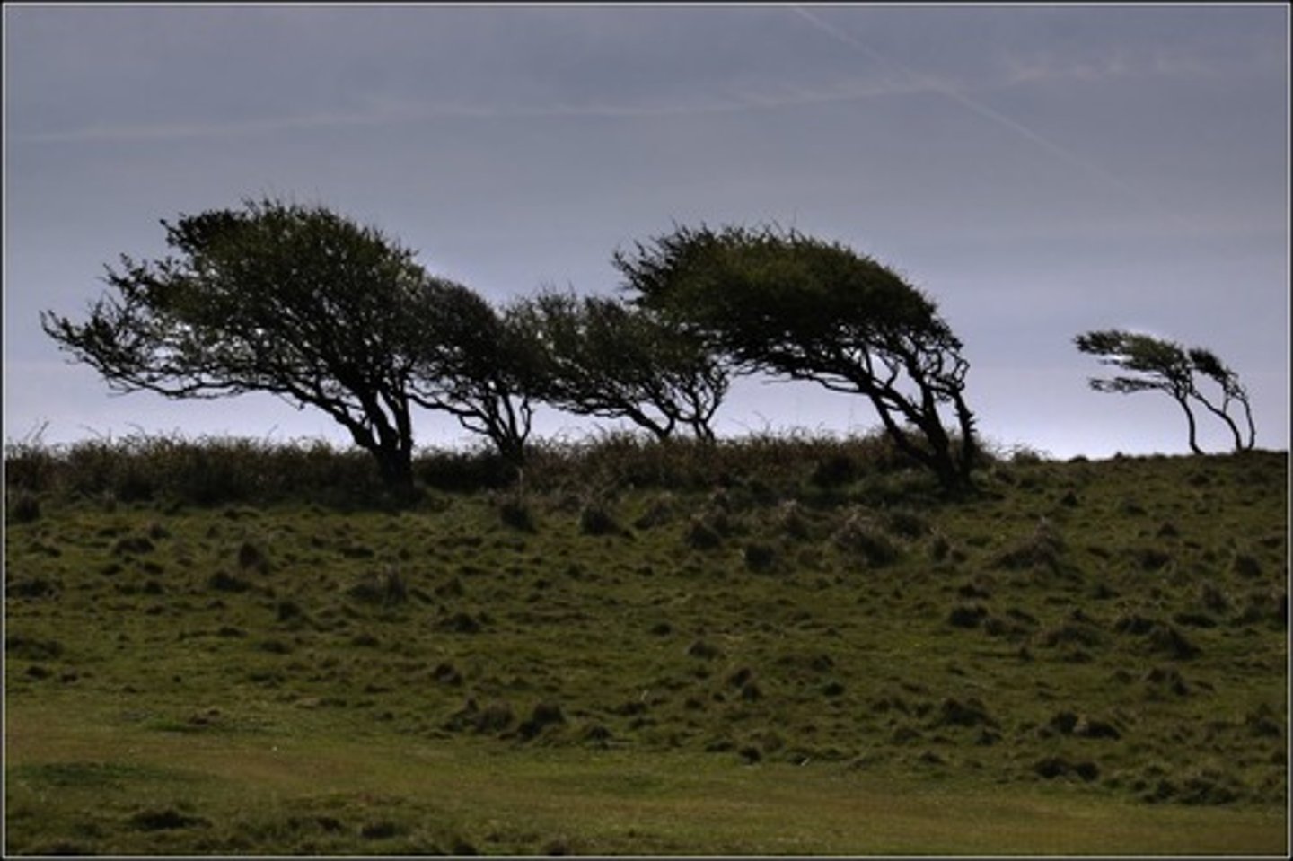 <p>Direction from which the wind most frequently blows in a given area of the country. In Ireland it is from the SW</p>