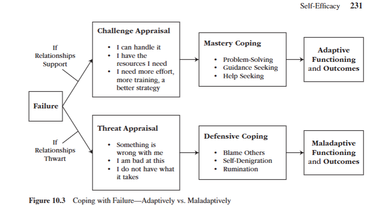 <p>Describe failure feedback and two types of appraisals.</p>