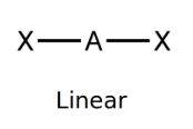 <ul><li><p>linear</p></li><li><p>180°</p></li></ul><p></p>