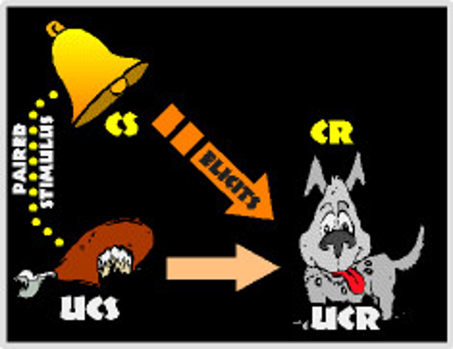 <p>learning that certain events occur together. The events may be two stimuli (as in classical conditioning) or a response and its consequences (as in operant conditioning).</p>