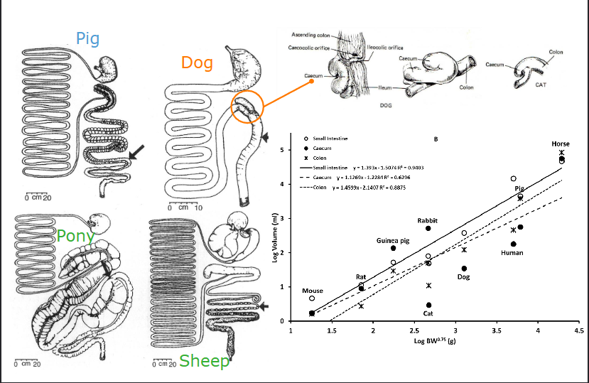 <p>Short and simple</p>