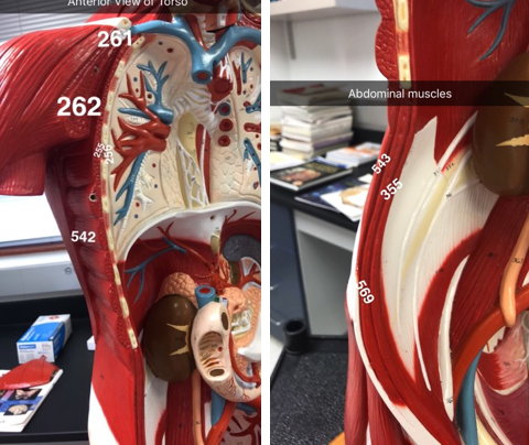 <p>what is number 543</p>