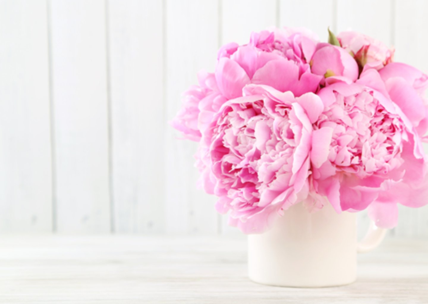 <p>present someone with a bunch of flowers </p><p>I always ___________ to Mum in the morning on Mother's Day.</p>