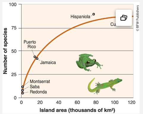 <p>According to the graph, which island is the largest in area?</p><p><span>Cuba </span></p><p><span>Hispaniola</span></p><p><span>Jamaica </span></p><p><span>Montserrat</span></p>