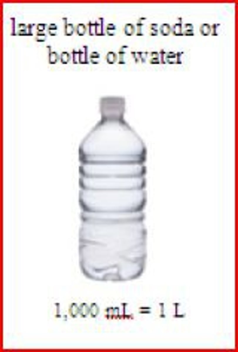 <p>The basic unit of capacity in the metric system.</p>