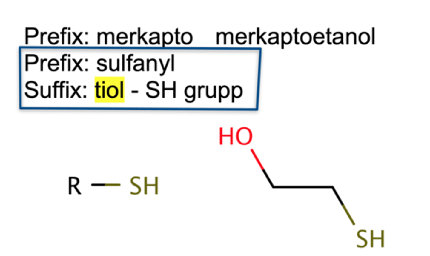 <p>- Kolväte som innehåller en SH-grupp</p><p>- Namnges sulfanyl/merkapto</p><p>- Ändelse: tiol</p>