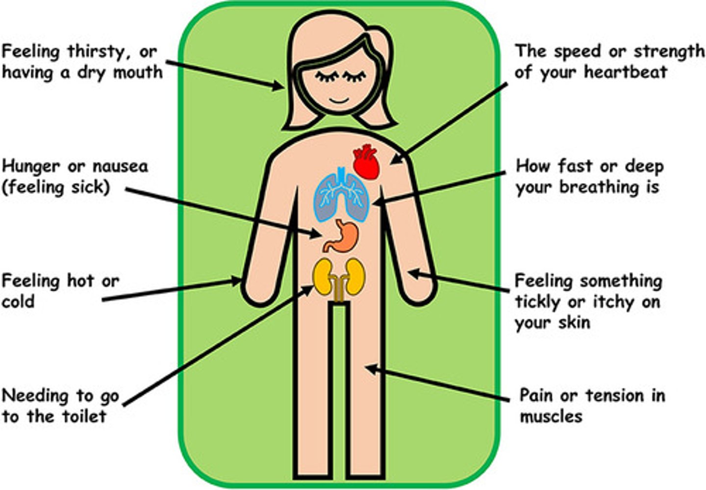 <p>React to internal stimuli.</p>