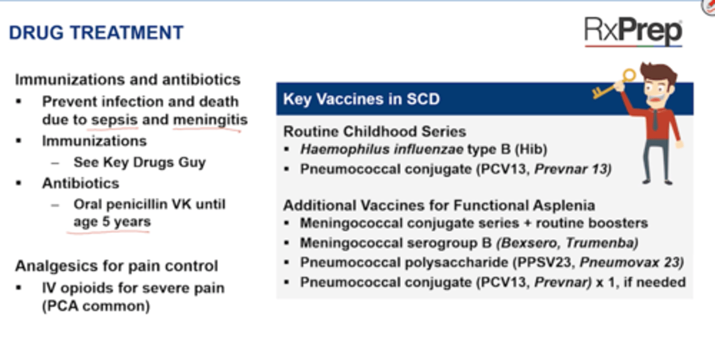 <p>Routine Childhood series</p><p>+ Haemophilus influenzae type B (Hib)</p><p>+ Pneumococcal conjugate (PCV13, Prevnar)</p><p>Additional Vaccines for Functional Asplenia</p><p>+ Meningococcal conjugate series + routine booster</p><p>+ Meningococcal serogroup B (Bexsero, Trumenba) --> At age > 10 </p><p>+ Pneumococcal polysaccharide (PPSV23, Pneumovax23) --> at age > 2 years, booster 5 years later and at age > 65</p><p>+ Pneumococcal conjugate (PCV13, Prevnar) x1 in any patient > 6 years of age, if never received as part of routine childhood series </p>