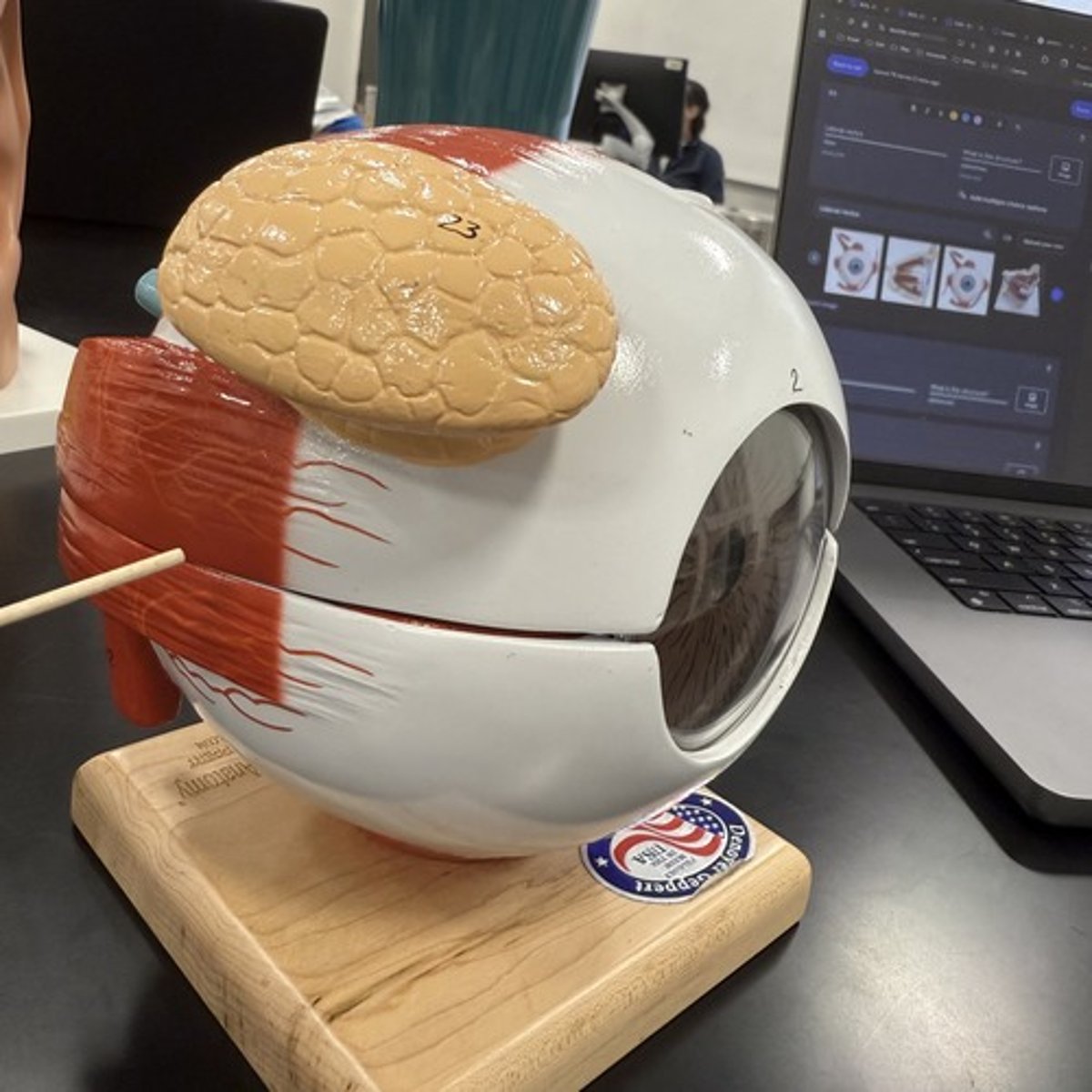 <p>What is this structure?</p>