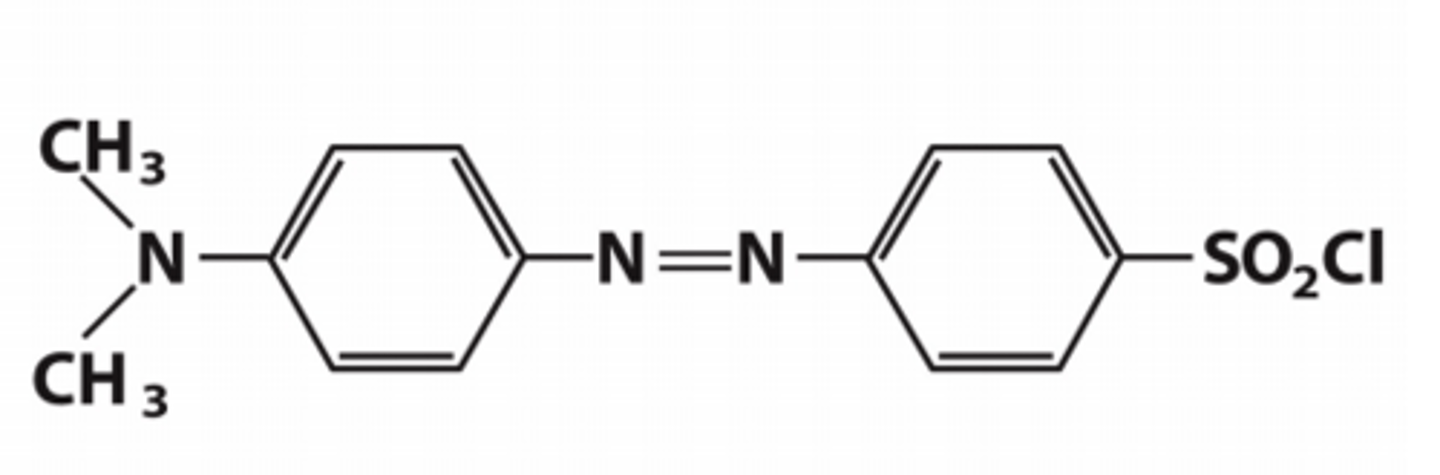 <p>N-terminal identifier</p>