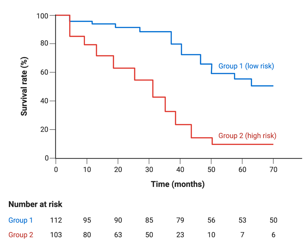 <p><strong>What graph is this?</strong><br><br>Kaplan Meyer survival curve</p>