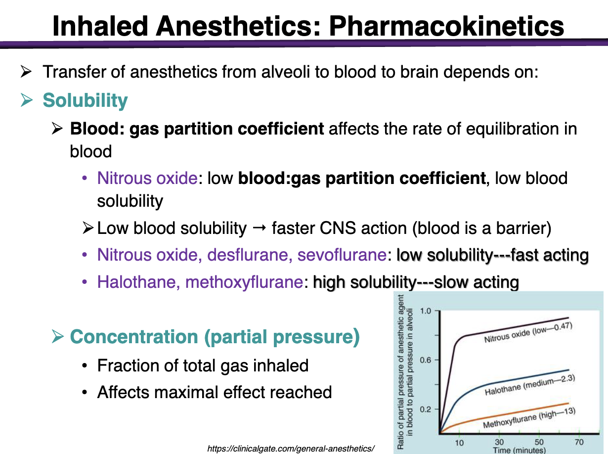 <p>Low blood:gas partition coefficient</p><p>Low blood solubility </p><p></p><p>*remember, low blood solubility → faster CNS action</p>