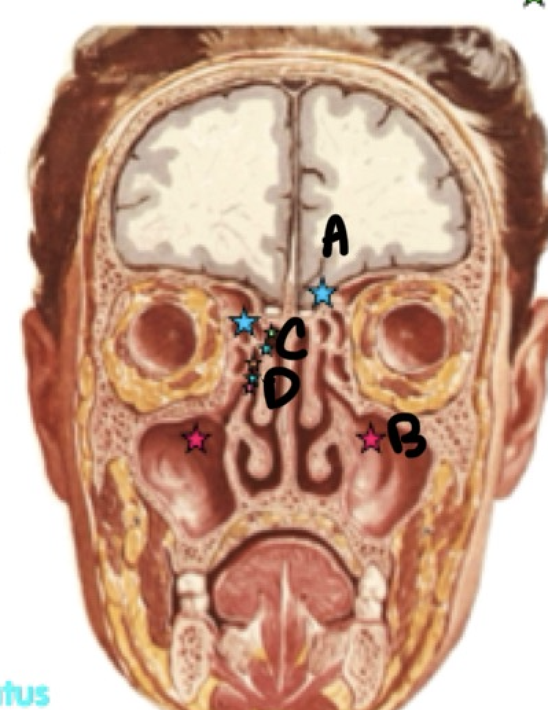<p>What is C?</p>