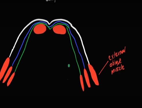 <p>Covering for the fucking uhhh 8pack</p>