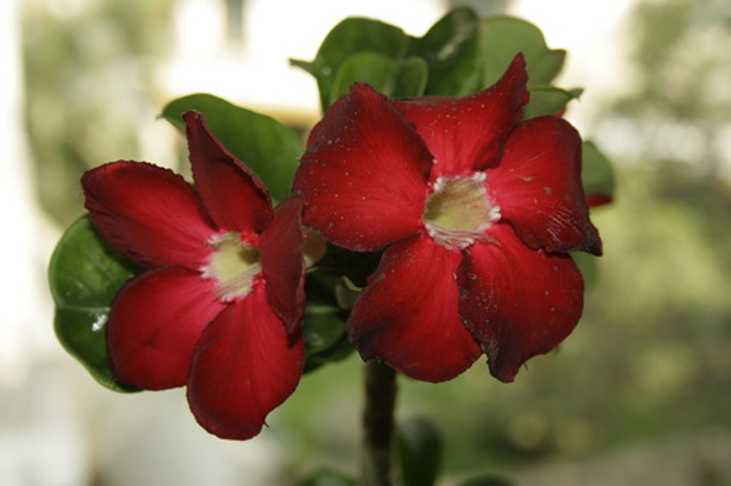 <p>changes occur simply because you expect it.</p>
