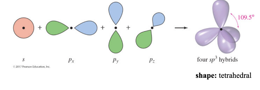 <ul><li><p>the carbon atom has <u>4 electron domains</u> around it</p></li><li><p>shape: tetrahedral</p></li></ul><p></p>