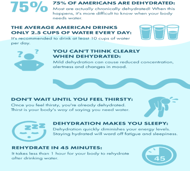 <p>81% beverages, 19% food</p>