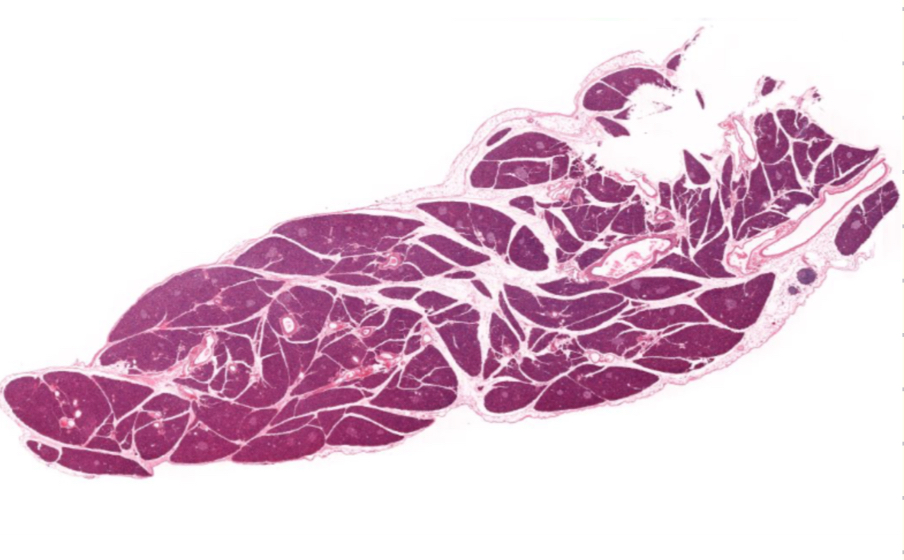 <p>What is this?</p>