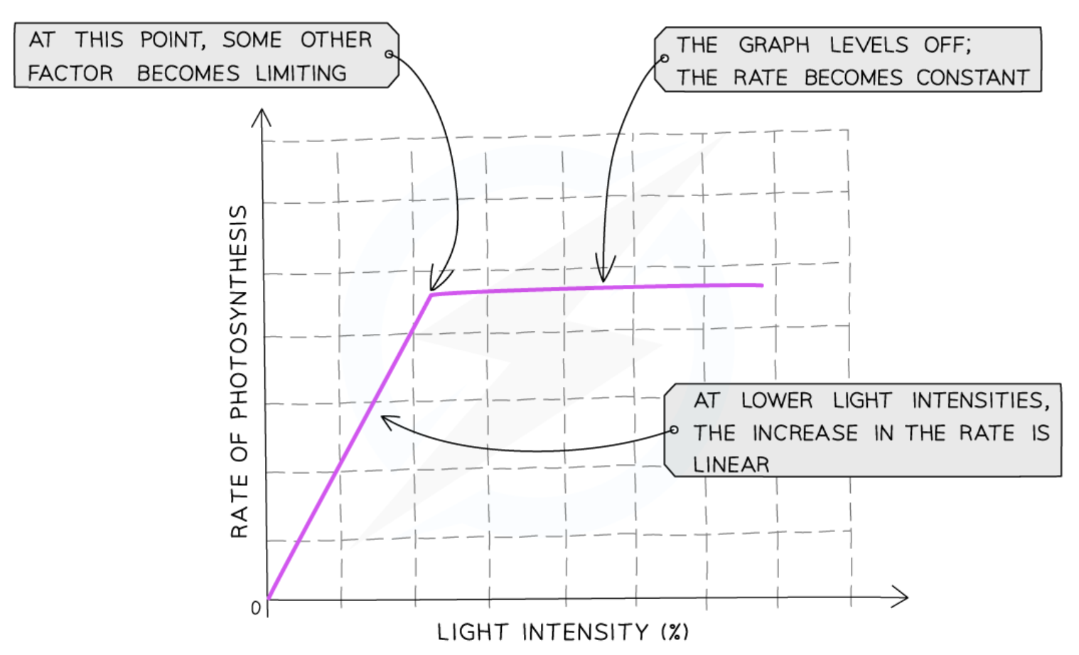 <p> </p><ul><li><p>the more light a plant receives, the faster the rate of photosynthesis until a certain point</p></li><li><p>once that point is reached, some other factor prevents the rate of photosynthesis from increasing further</p></li><li><p>light intensity is no longer a<strong> limiting factor</strong></p></li></ul><p></p>