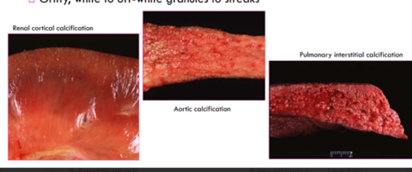 <p>gritty, white to off white granules to streaks</p>