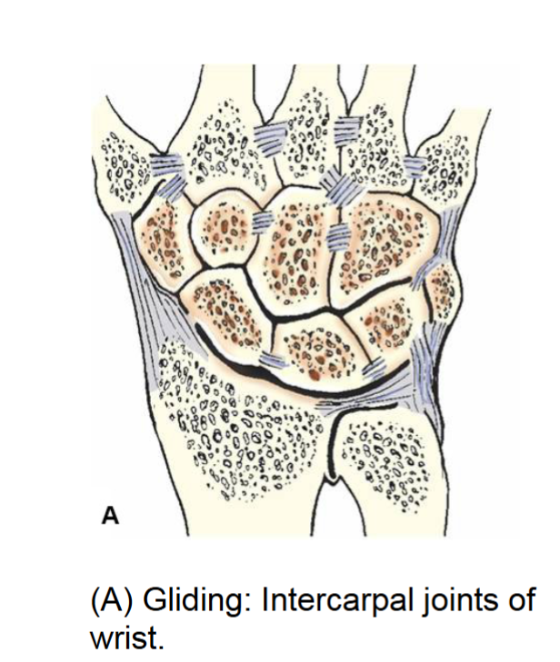 <p>gliding joint </p>