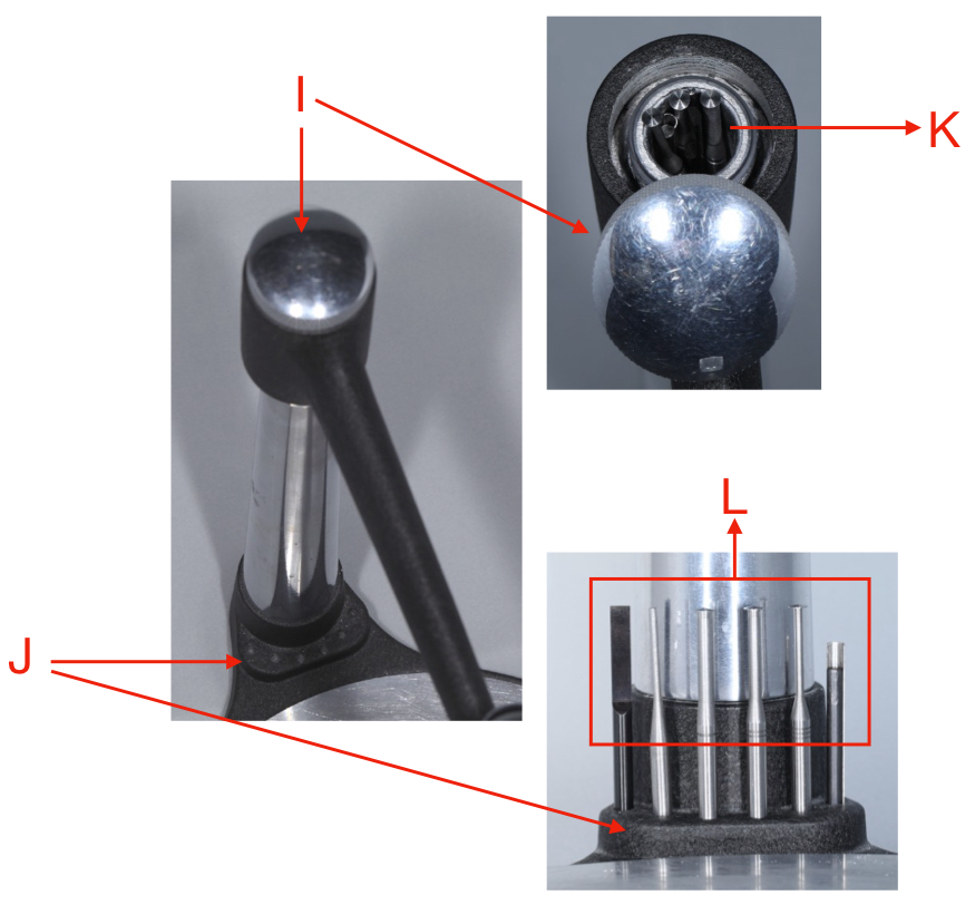 <p>what is labeled I?</p>