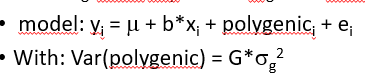 <p>use polygeneic effect with correlation matrix G (genomic relationships)</p><p>G uses actual SNPs on SNPchip to determine how many alleles in common, accounts for what happens at the genome, e.g. fullsibs may have 45% of genes in common instead of 50% (as assumed from pedigree)</p><p>tests whether SNP x explains more than the average SNP on the SNPchip</p><p>H0: SNP x explains about the same variance as any other SNP in the genome, instead of H0: SNP x explaisn no variance</p>