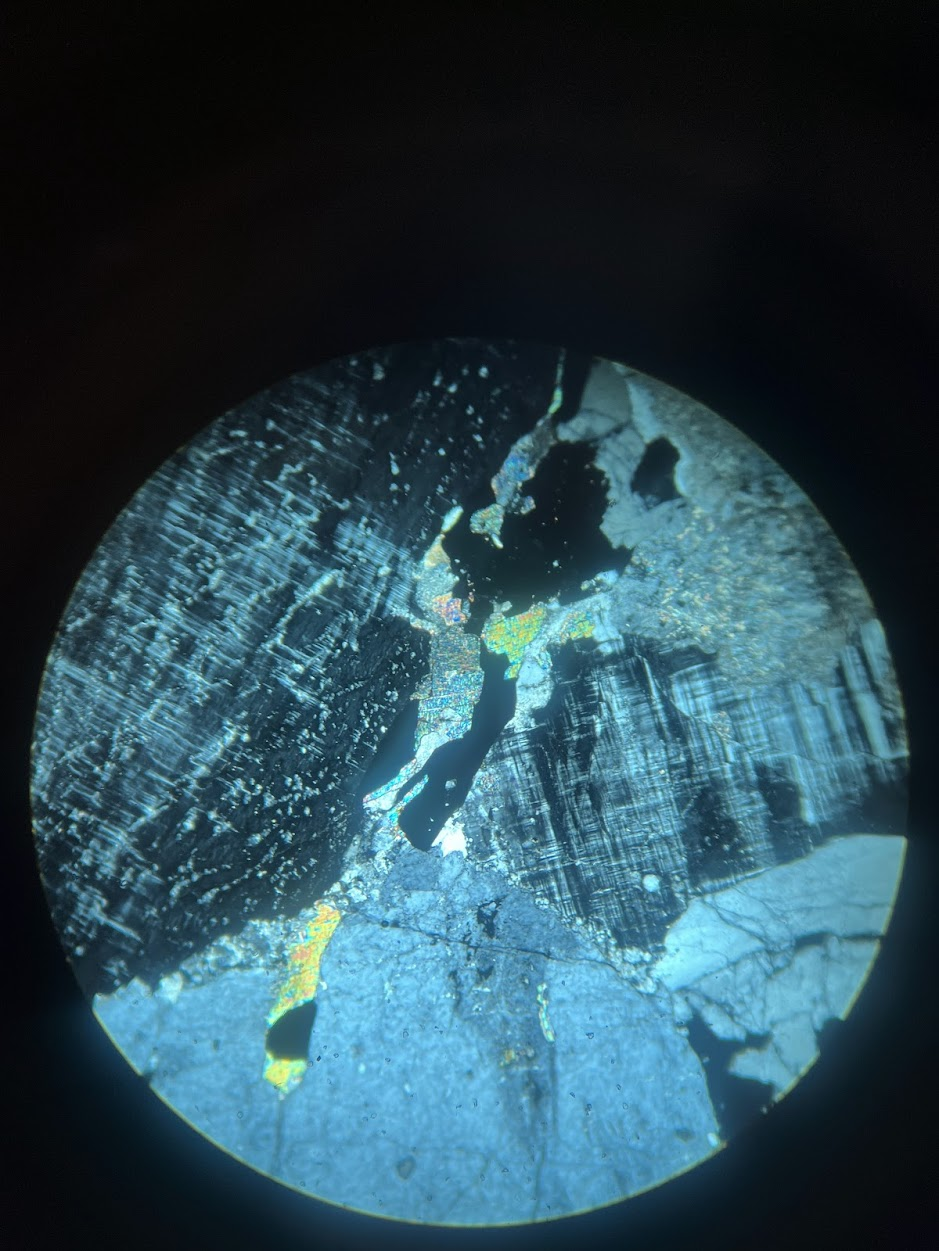 term image