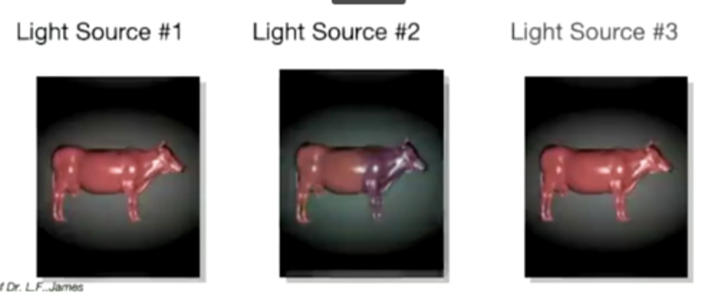 <p>Define the following:</p><p>The color of a pair of specimens having different spectral reflectance functions matches under one set of illuminant and observer conditions but mismatches under another set of conditions</p>