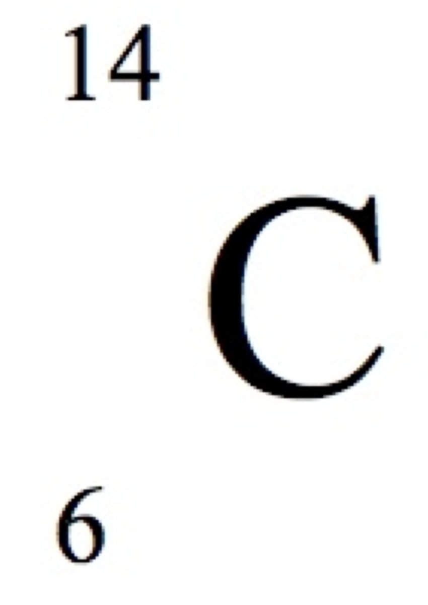 <p>some isotopes of an atom are ____, while others are ____, or radioactive. Carbon ____ is an example of un unstable isotope of Carbon.</p>