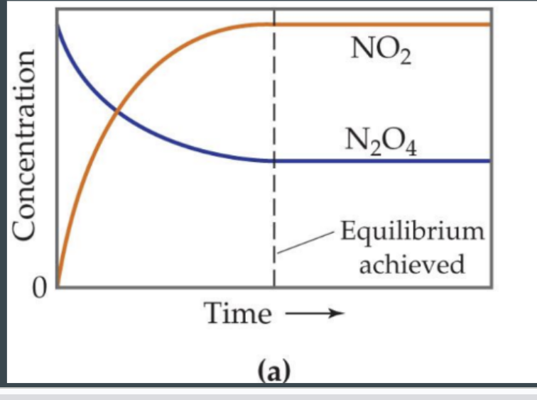 <p>amount of product and reactant remains constant </p>