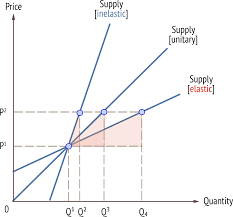 <p>Explain what this graph teaches us. </p>