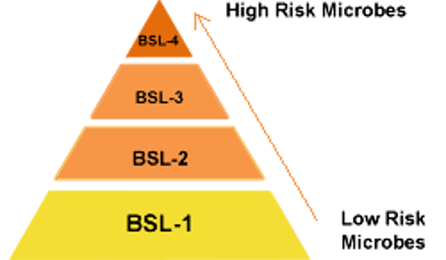 <p>BSL-1 or BSL-2</p>