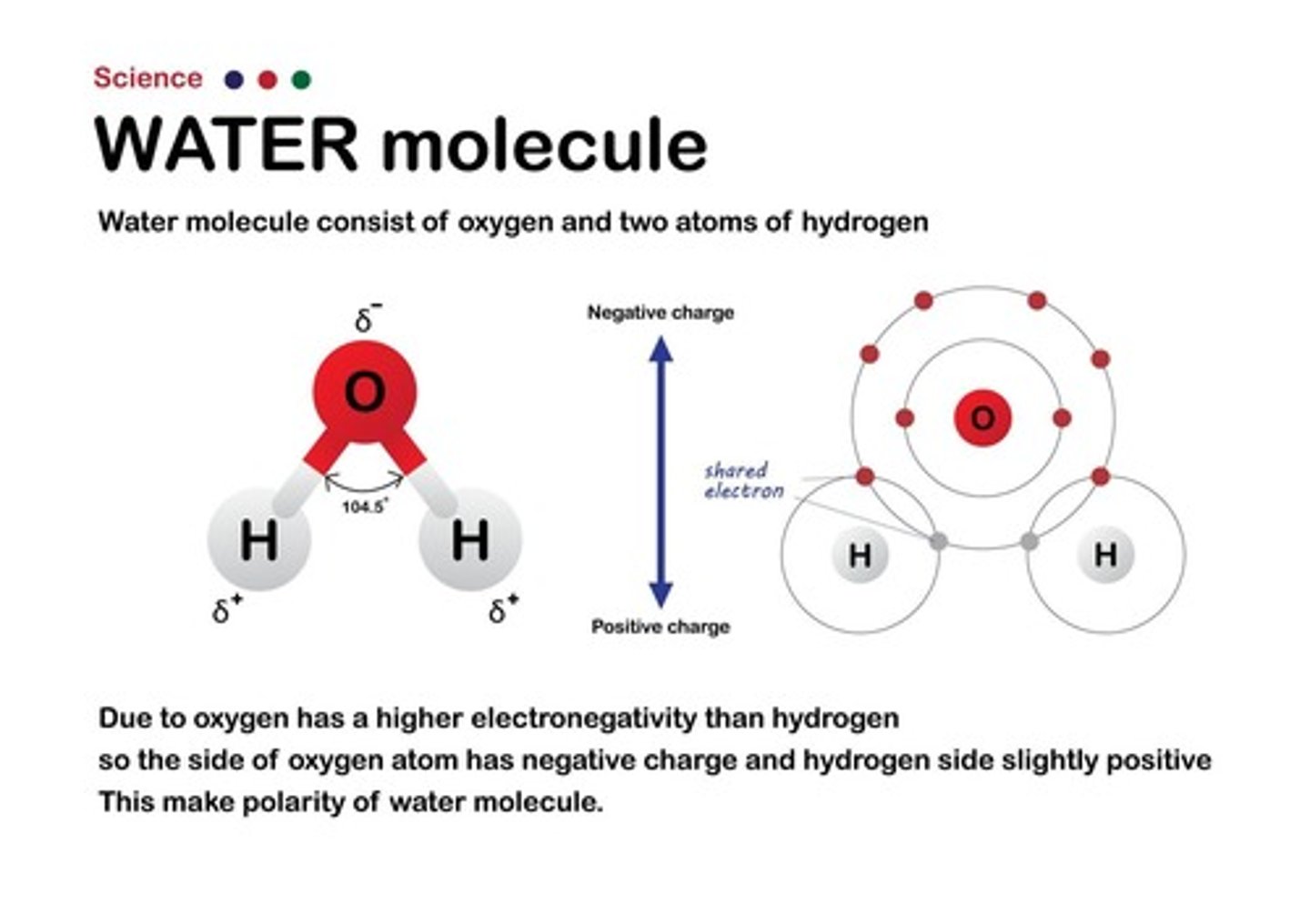 <p>Gases dissolve better in cold water.</p>