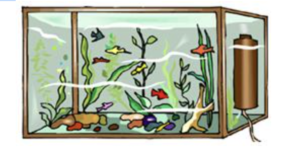 <p>A fish tank is a type of human-made ecosystem.</p><p></p><p>(photo)</p><p></p><p>Which of the following lists only abiotic factors found in a fish tank ecosystem?</p>