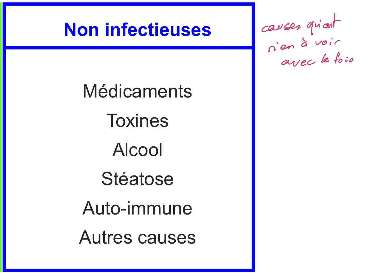 <p>(causent hépatites et jaunisses)</p>