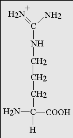 <p>What is the name of this amino acid, and, what are the single and three letter codes?</p>