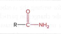 <p><span>a nitrogen atom is bonded to a carbonyl carbon atom (a carbon double-bonded to an oxygen), forming a C-N bond that links a carbonyl group and an amine group</span></p>