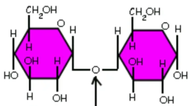<p>What linkage/glycosidic bond is this?</p>