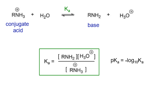 <p>The conjugate ammonium ion dissocates</p>