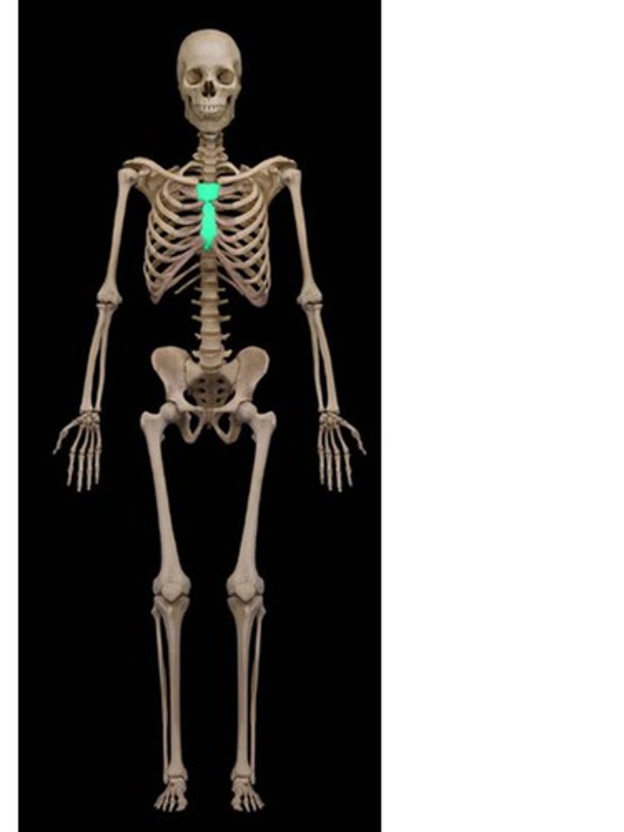 knowt flashcard image