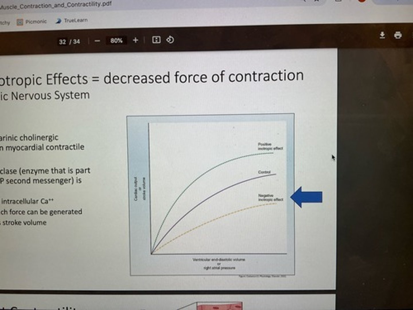 <p>decreased force of contraction (parasympathetic) acetylcholine <br>1. binds muscarinic cholinergic receptors on myocardial contractile cells <br>2. adenylyl cycles (enzyme part of cAMP second messenger) inhibited <br>-decreased intracellular Ca++<br>-not as much force can be generated <br>-decreases stroke volume</p>